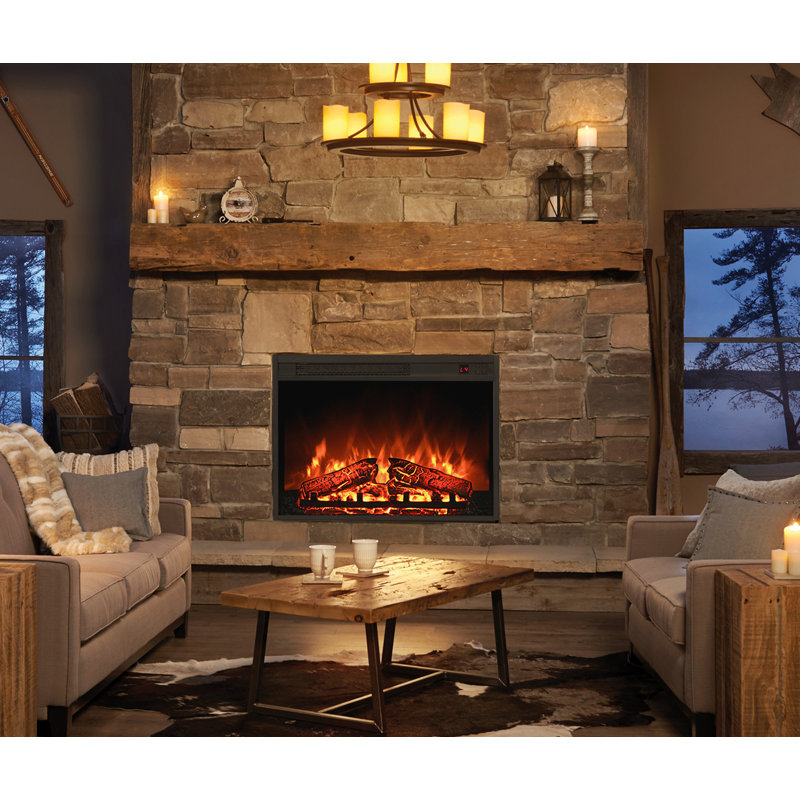 Symple Stuff Merrigan 24'' W Electric Fireplace Insert Wayfair